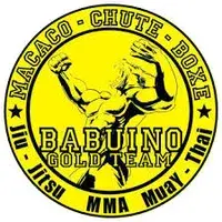 Logo ACADEMIA BABUÍNO GOLD TEAM, gym in São Paulo