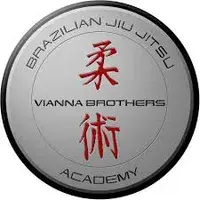 Logo Vianna Brothers Brazilian Jiu-Jitsu Academy, gym in Chicago