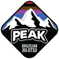 Logo Lizardo Brazilian Jiu Jitsu, gym in São Paulo