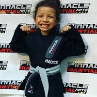 Pinnacle Martial Arts Brazilian Jiu Jitsu & MMA San Antonio - BJJ Academy