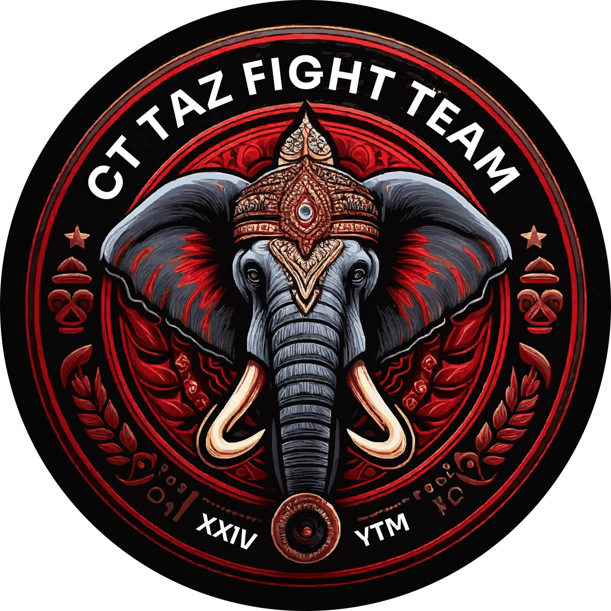 CT TAZ FIGHT TEAM - Logo