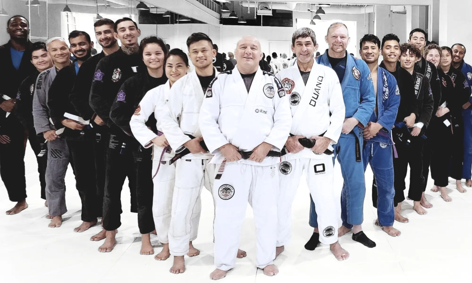 HEVA BJJ - Logo