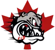 Frontline Academy Canada - Logo