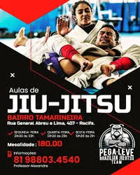 AULAS DE JIU-JITSU - PROFESSOR ALEXANDRE "PEGA-LEVE" - Logo