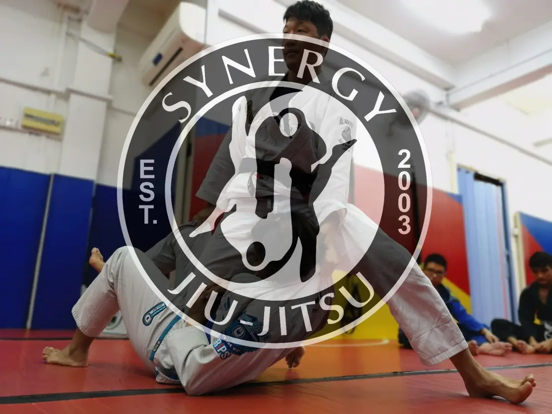 Synergy BJJ MMA Academy Singapore - Logo