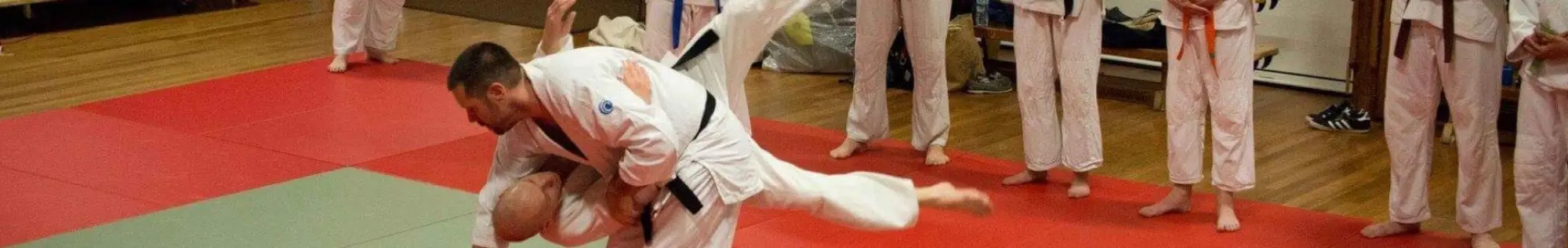 Aiuchi Jiu Jitsu Basingstoke - BJJ Academy