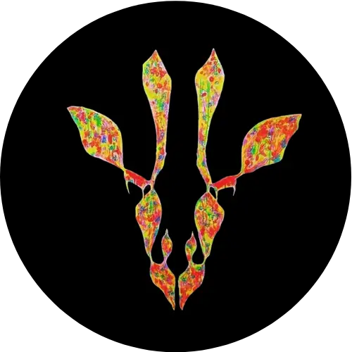 Vibrant Jiu Jitsu - Logo