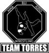 Team Torres Derry - Logo