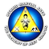 Hybrid Martial Arts - BJJ Academy