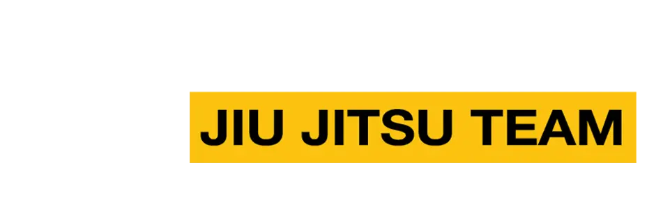 Alliance Jiu Jitsu Bauru - BJJ Academy