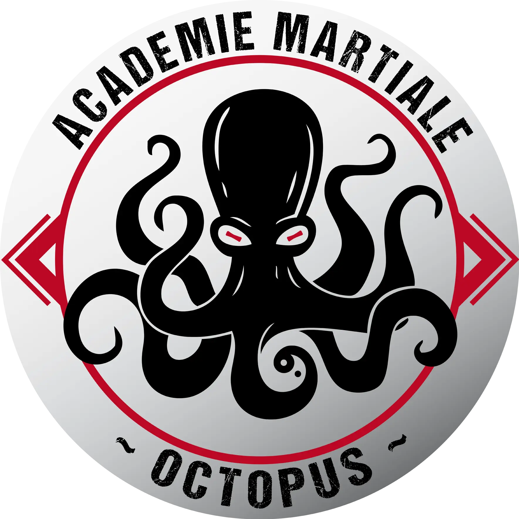 Académie Martiale Octopus - Logo