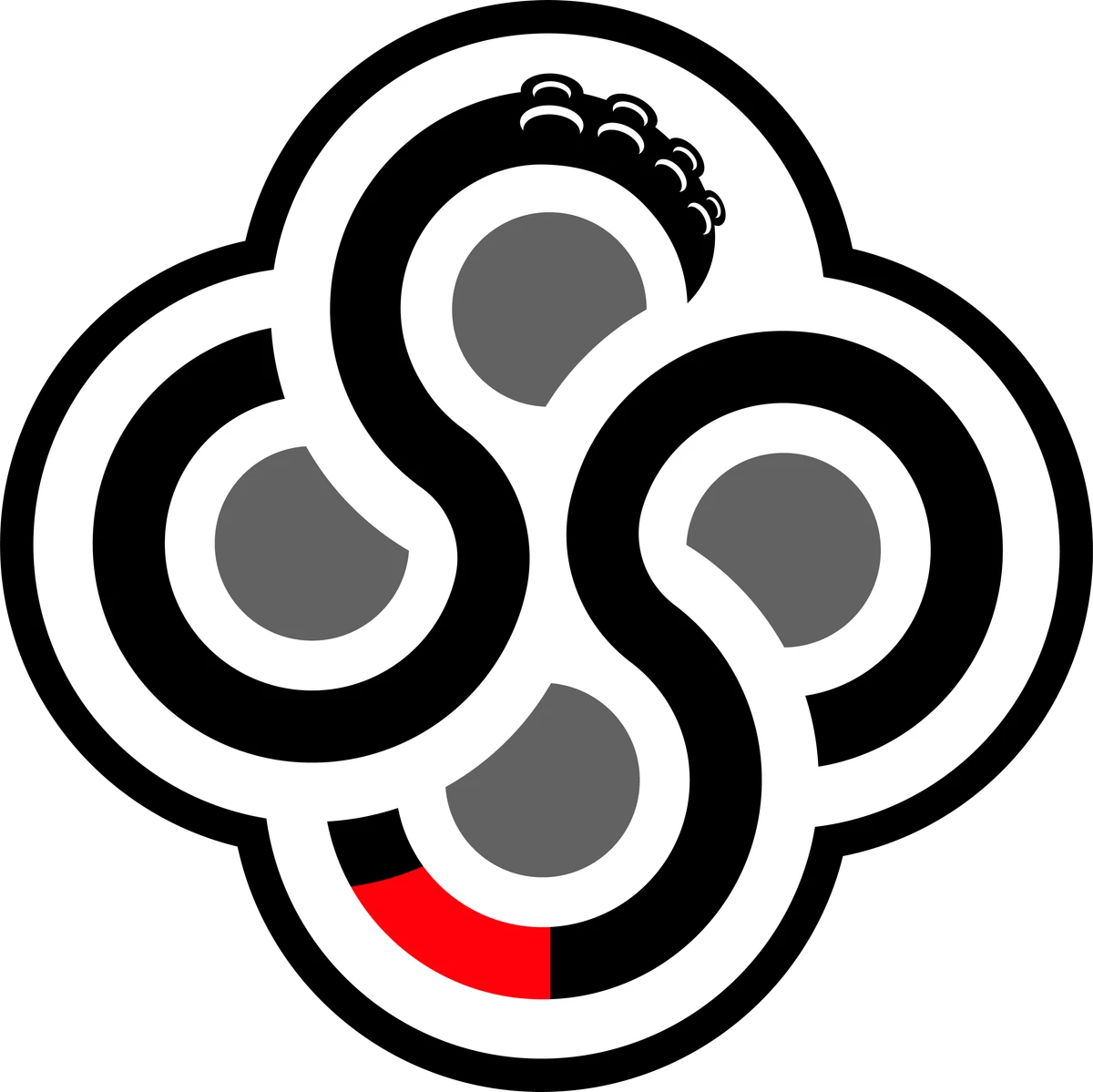 Squid Studio - Brazilian Jiu Jitsu - Logo