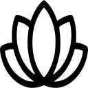 Lotus BJJ España - Logo