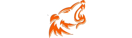 Wolfpack MMA Wylie - Logo