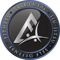 Elemental Jiu Jitsu and Fitness (EBJJFits) of Palmetto Bay - BJJ Academy