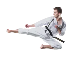 Kushin-Kan ry. Kamppailulajien erikoisseura - Logo