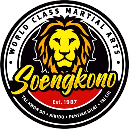Soengkono World Class Martial Arts - Logo