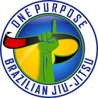 Brisbane Martial Arts - Logo