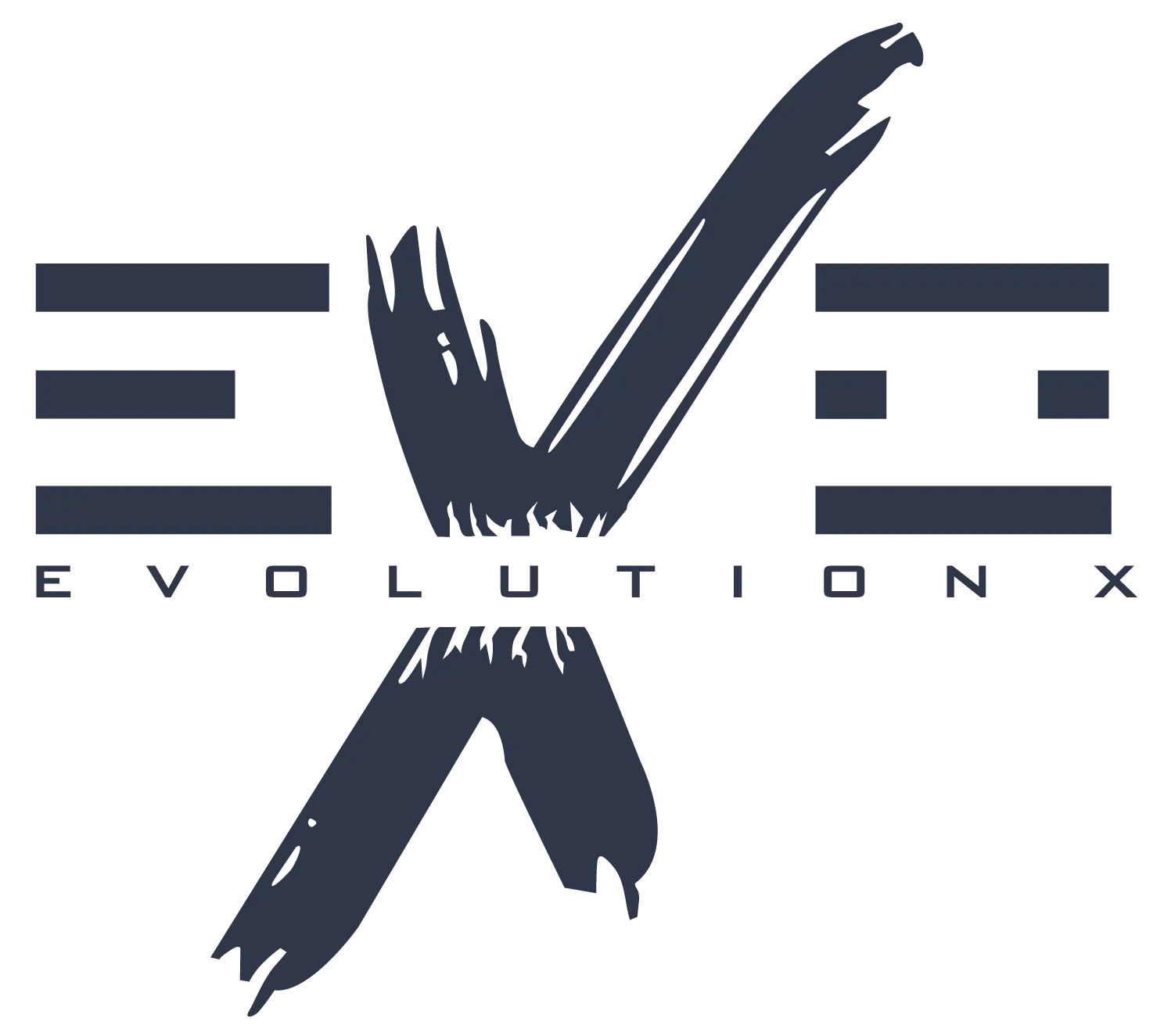 Evolution MMA - Logo
