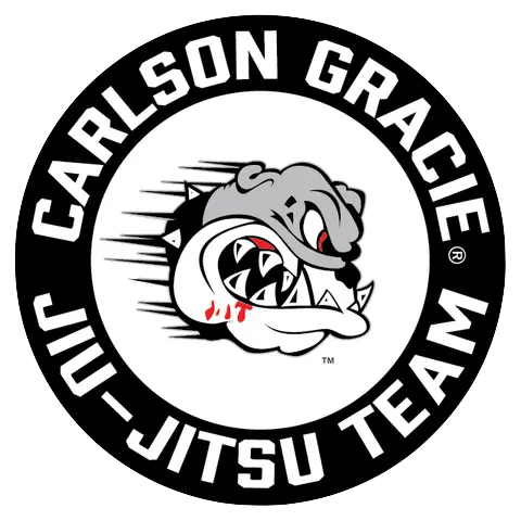 Sandro Sampaio Brazilian Jiu-Jitsu Academy - Logo