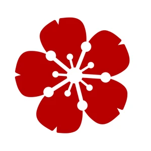 Spring Jiu Jitsu - Logo