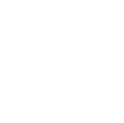 Fúria Fight Club - Logo