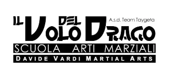 Il Volo del Drago - Scuola Arti Marziali - Davide Vardi Martial Arts Arezzo - Logo