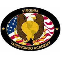 Virginia TaeKwonDo & Jiu-Jitsu Academy - Logo