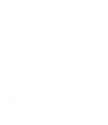 Alliance Campeche - Jiu Jitsu - Logo