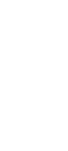 Lowdown Combatives - Logo