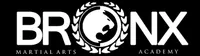Bronx Martial Arts Academy - Logo