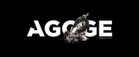 Agoge Brazilian Jiu Jitsu - Logo