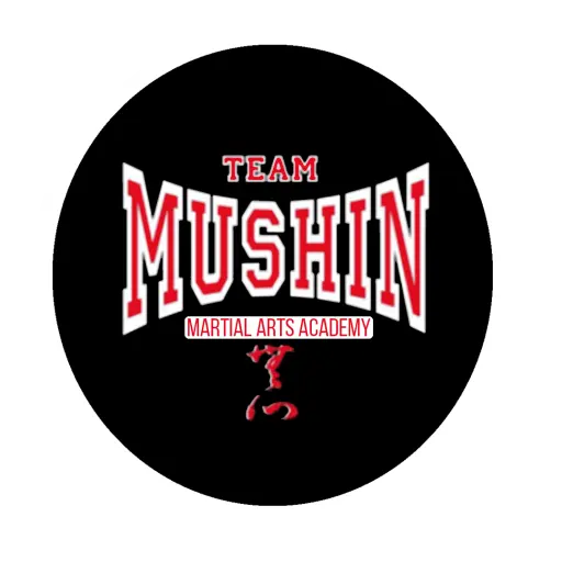 Mushin Combat Academy - Logo