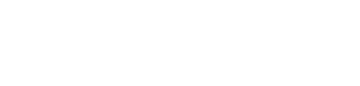 Stealth BJJ - Manchester Brazilian Jiu Jitsu - Logo