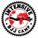 BJJ Intensive Camp - Logo