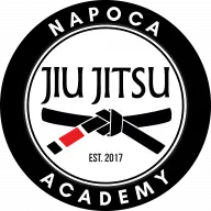 Napoca Jiu Jitsu Academy - Logo