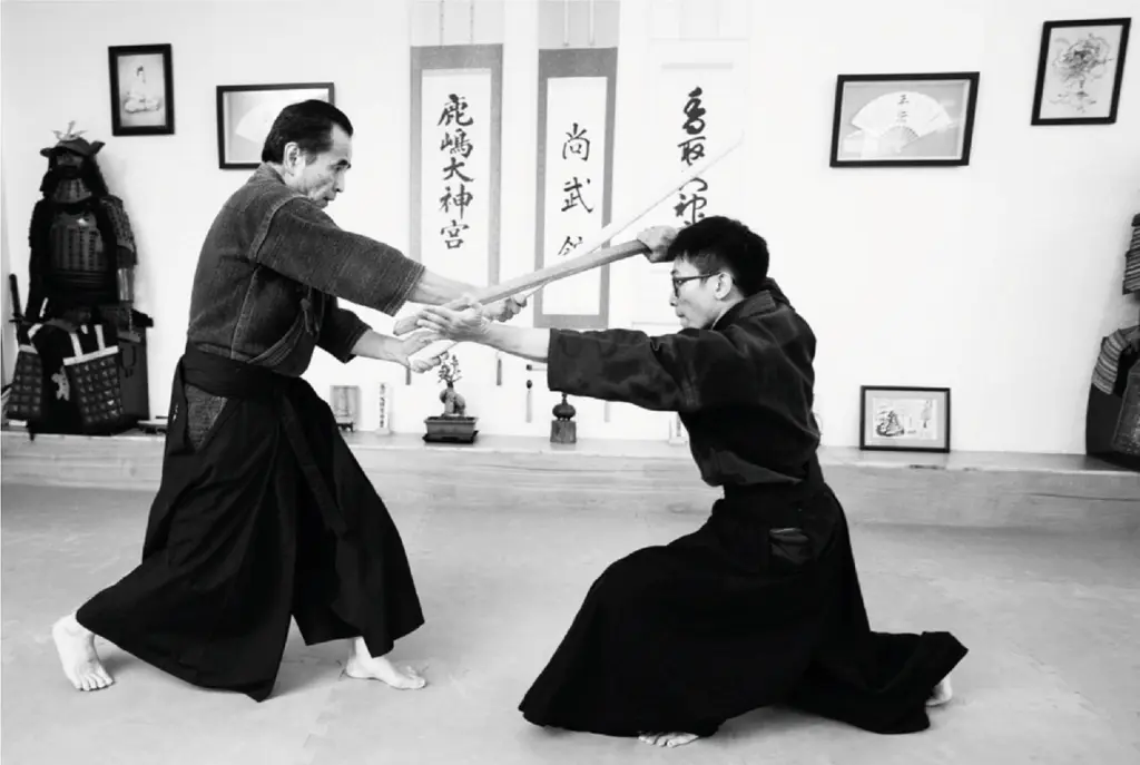 Shobukan Dojo PMH - Martial Arts School - Logo