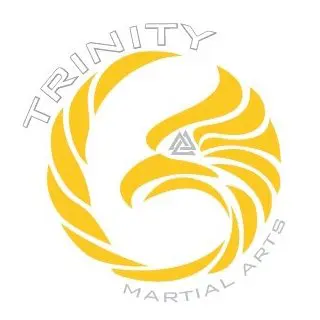 Trinity Martial Arts Kalamazoo - Logo