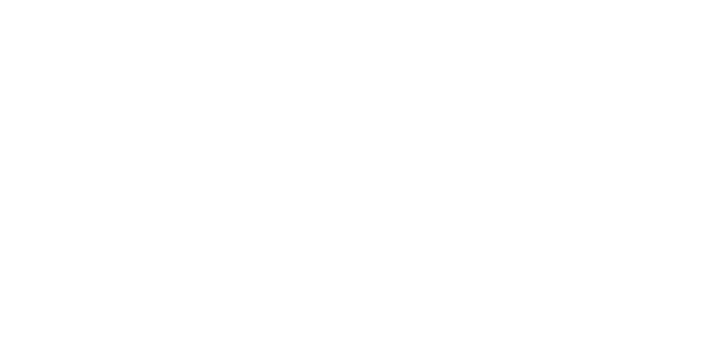 Parker Academy of Martial Arts - Logo