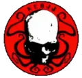 Kansas City Brazilian Jiu Jitsu - Logo