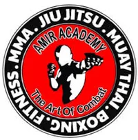 Amir Academy of Martial Arts - Logo