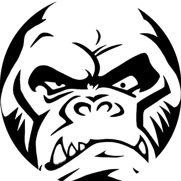 MMA AGON ACADEMY arts martiaux mixtes Rouen - Logo