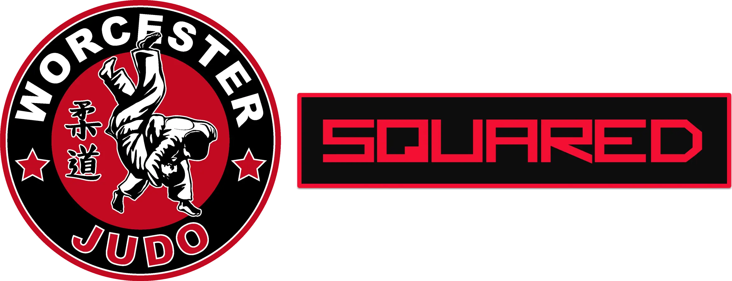 Worcester Martial Arts Academy - Logo