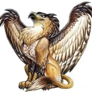 Sambo Combat Gryphon e.V - Logo