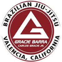 Brazilian Jiu Jitsu Valencia - Logo