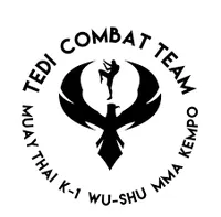 Tedi Combat Team - Logo