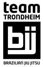 Trondheim Martial Arts Academy - Logo