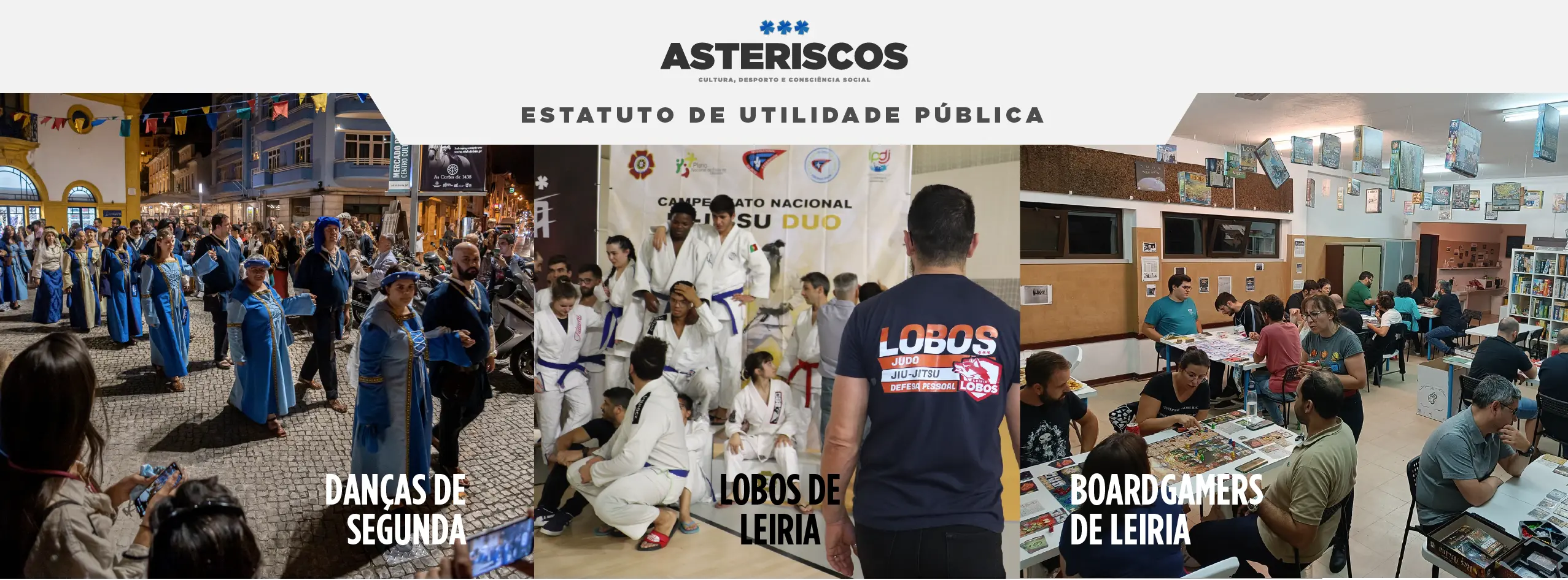 Lobos de Leiria - Escola de Rugby e Artes Marciais - Logo