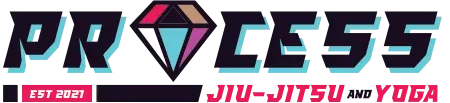 Process Jiu Jitsu & Yoga Boise - BJJ Academy