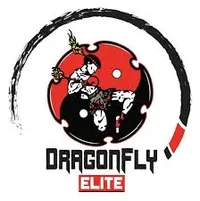 DragonFly Elite Martial Arts & Fitness - BJJ Academy